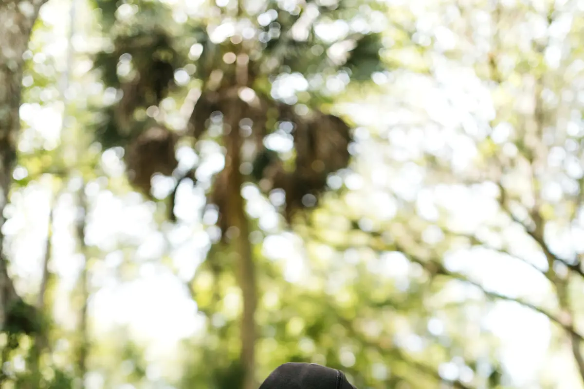 Wsparcie i Optymalizacja